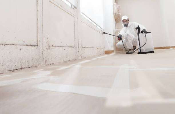 24/7 Emergency Mold Remediation experts in Hudson, TX